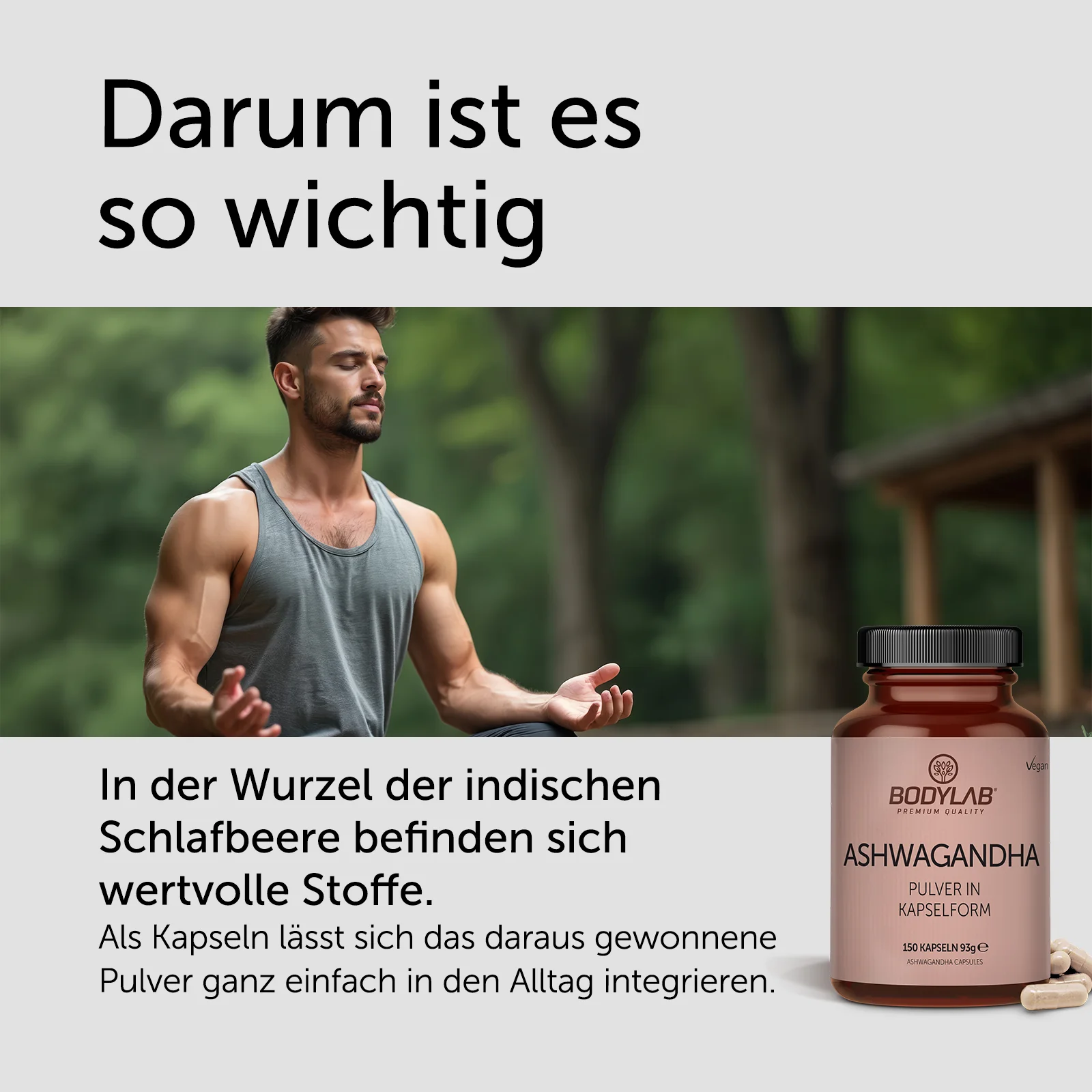 Miniatuur 3