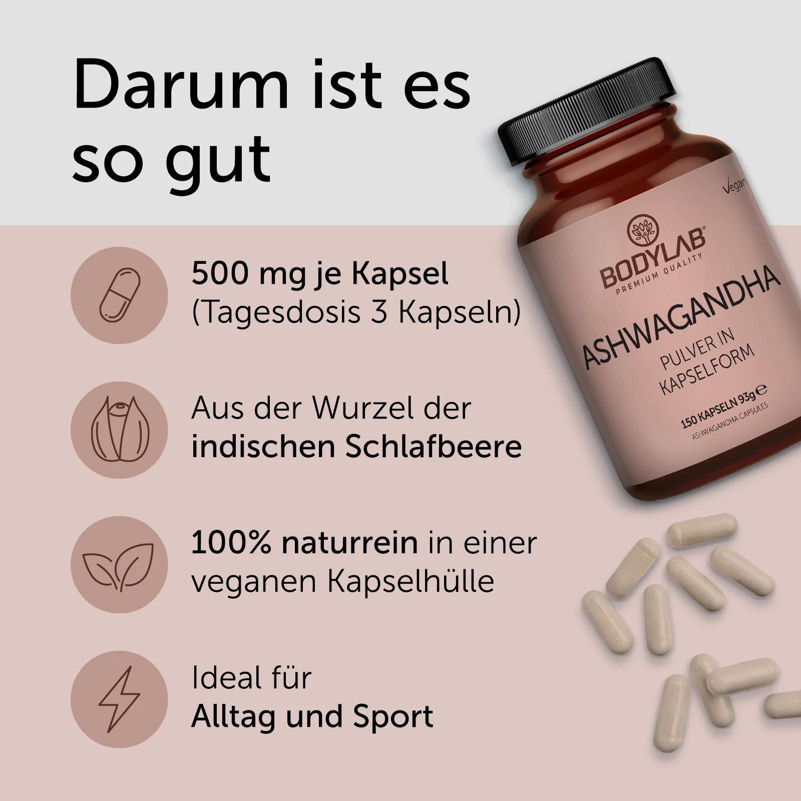 Miniatuur 3
