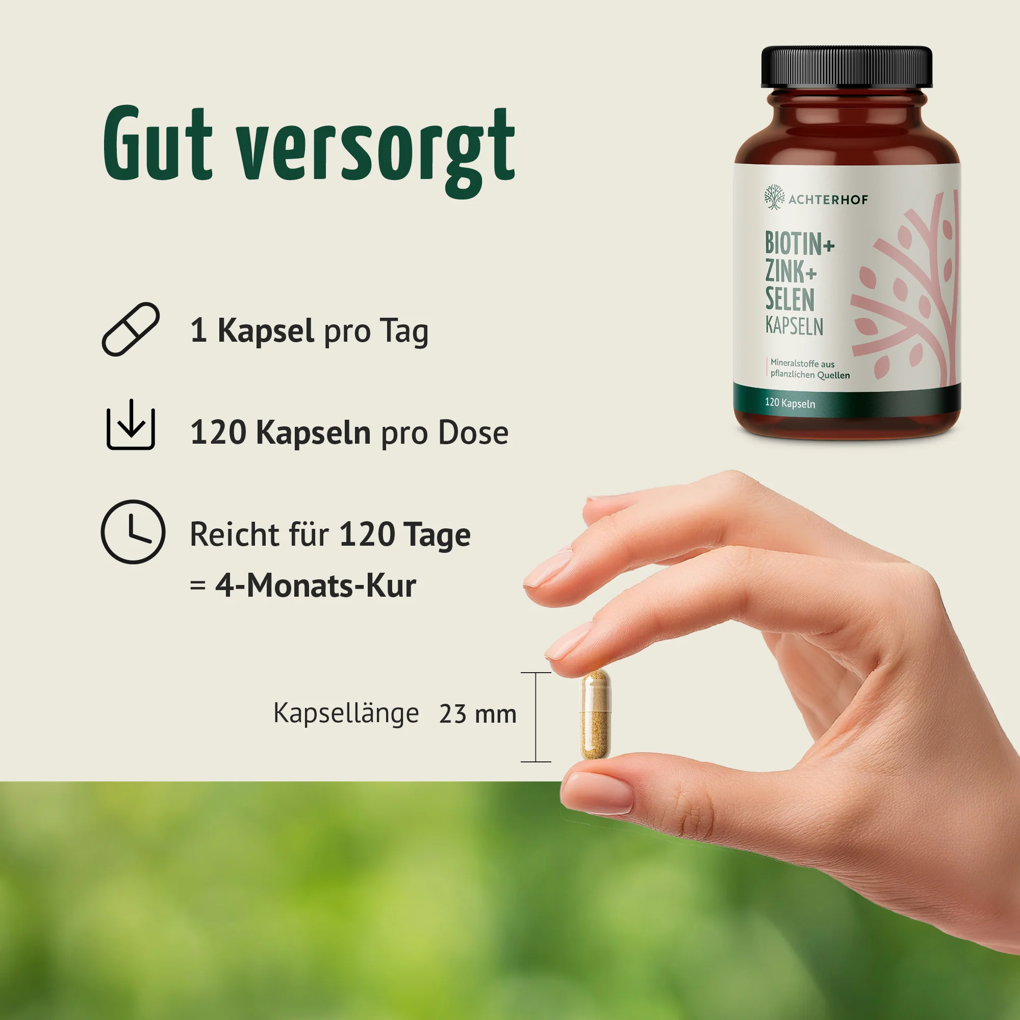 Miniatuur 8