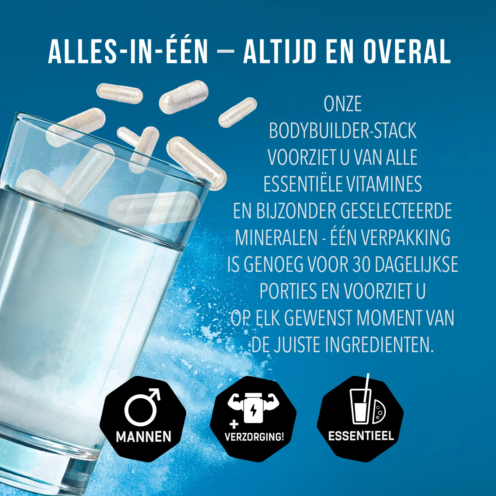 Miniatuur 5
