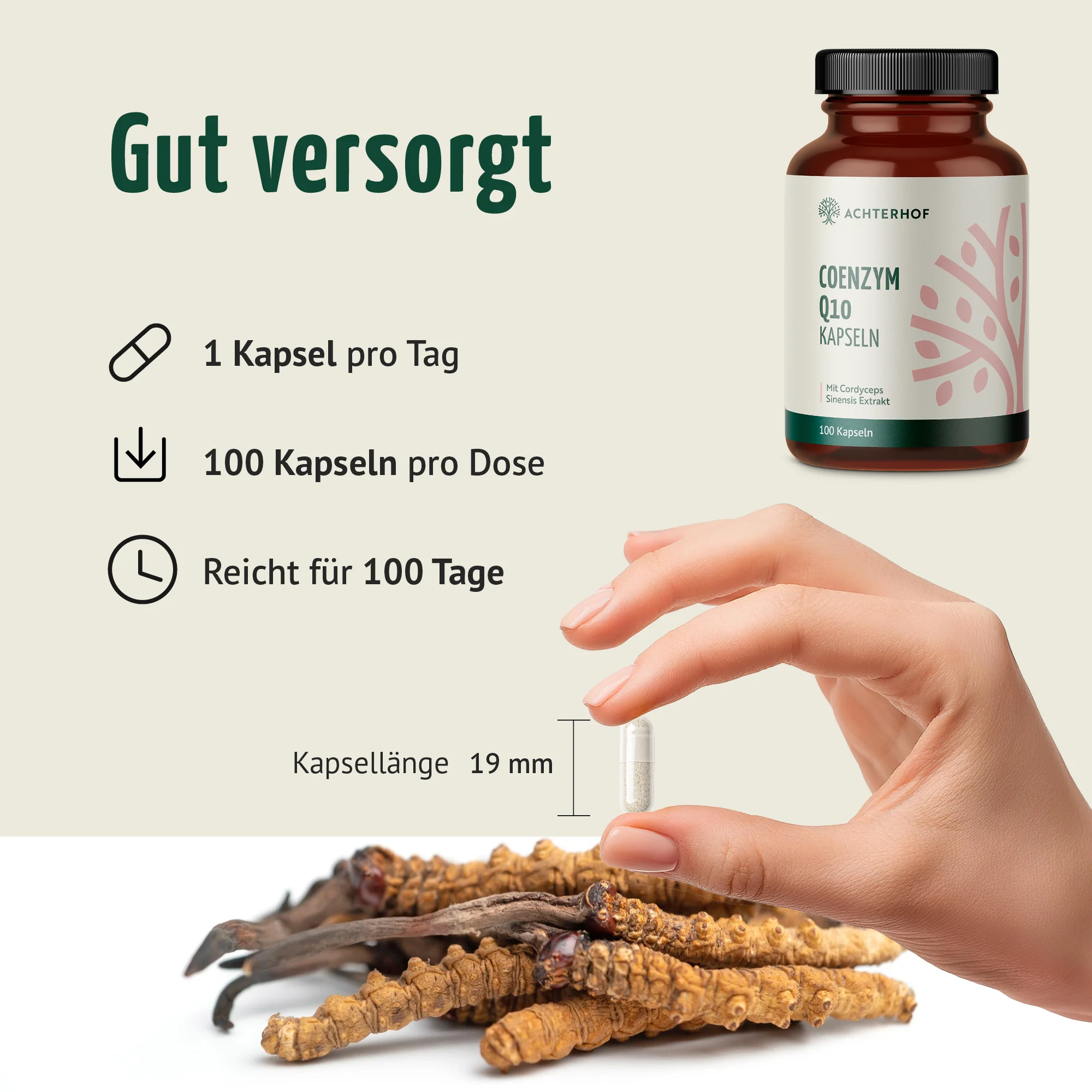 Miniatuur 4