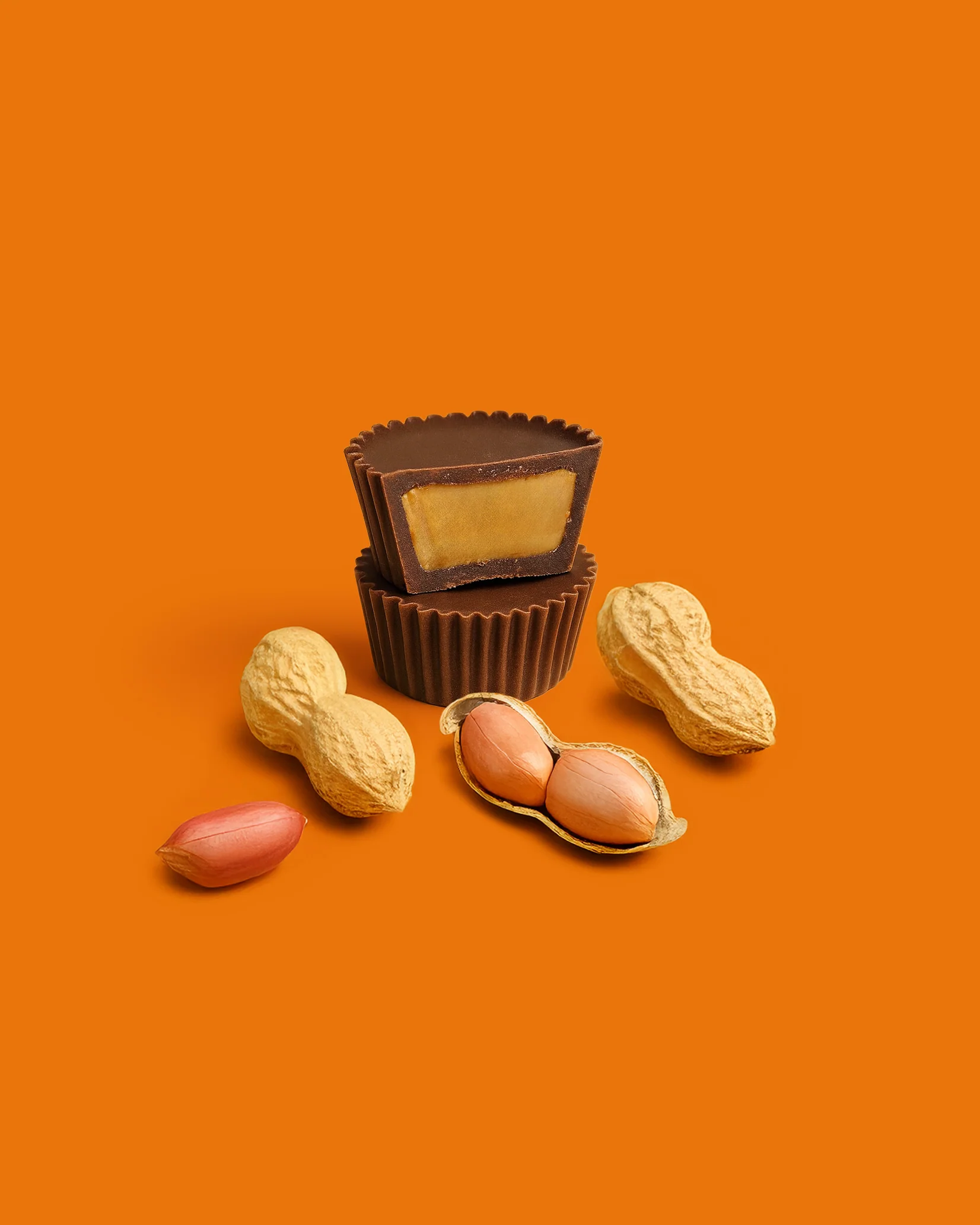 Miniatuur 6