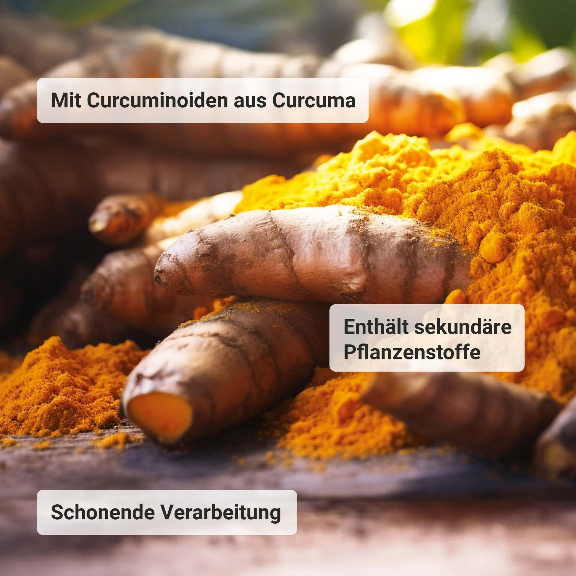Miniatuur 4