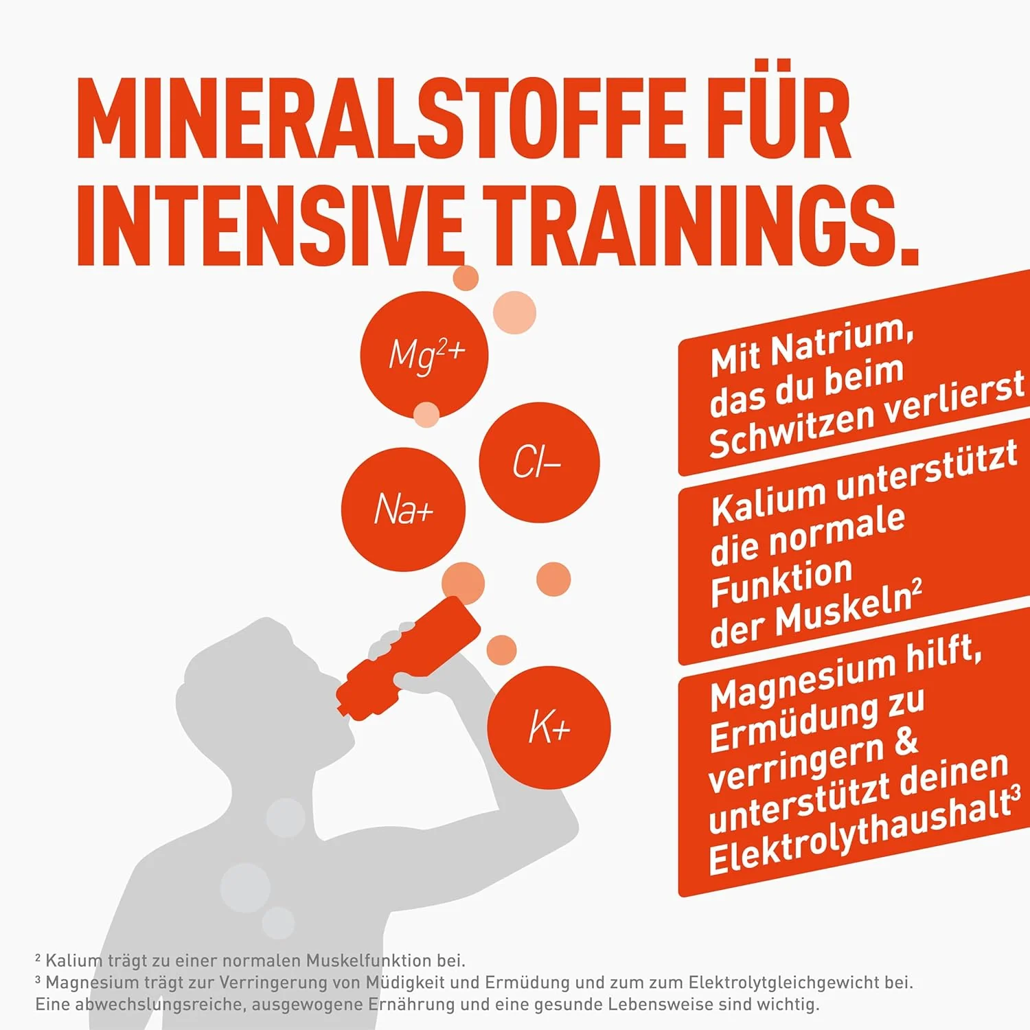 Miniatuur 4