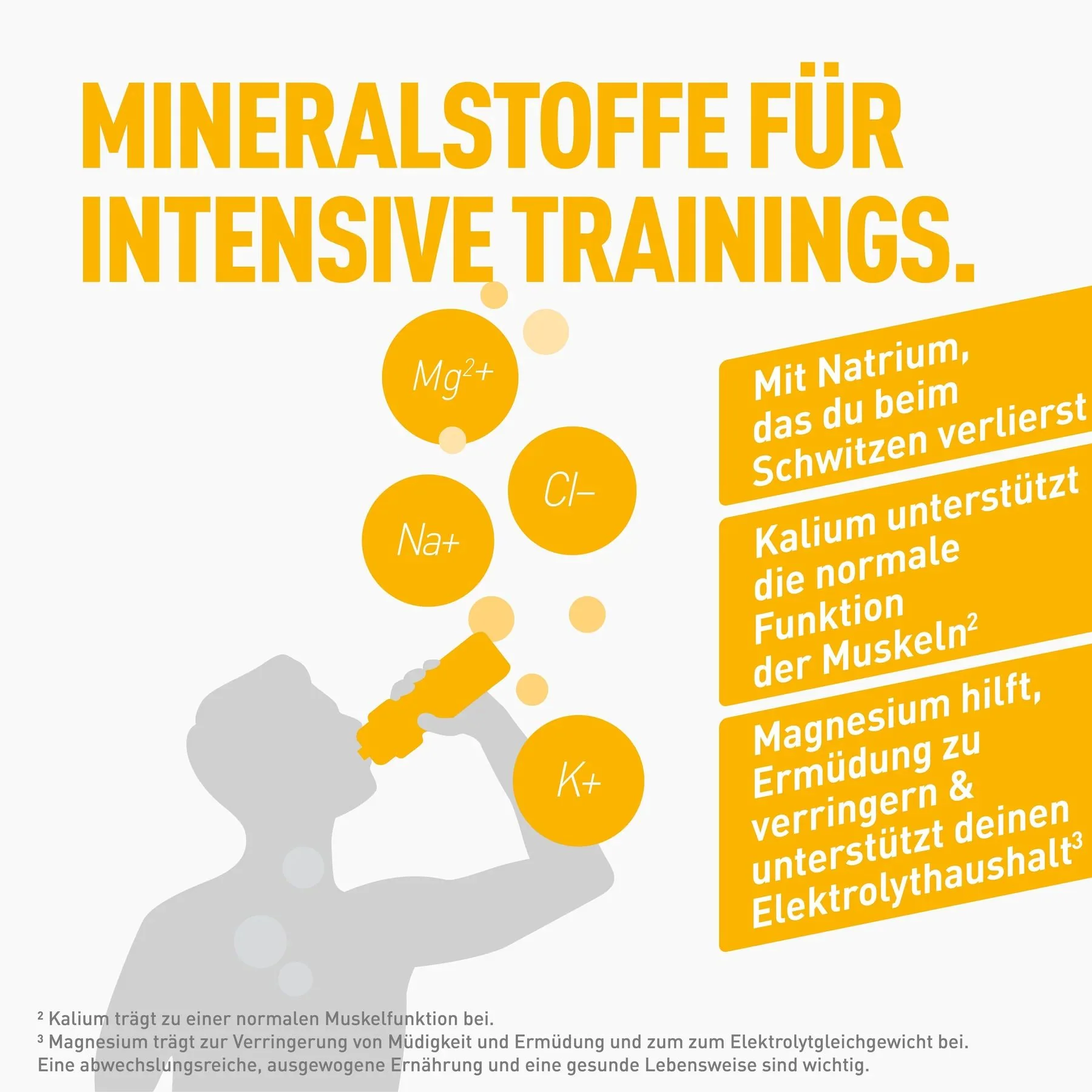 Miniatuur 8