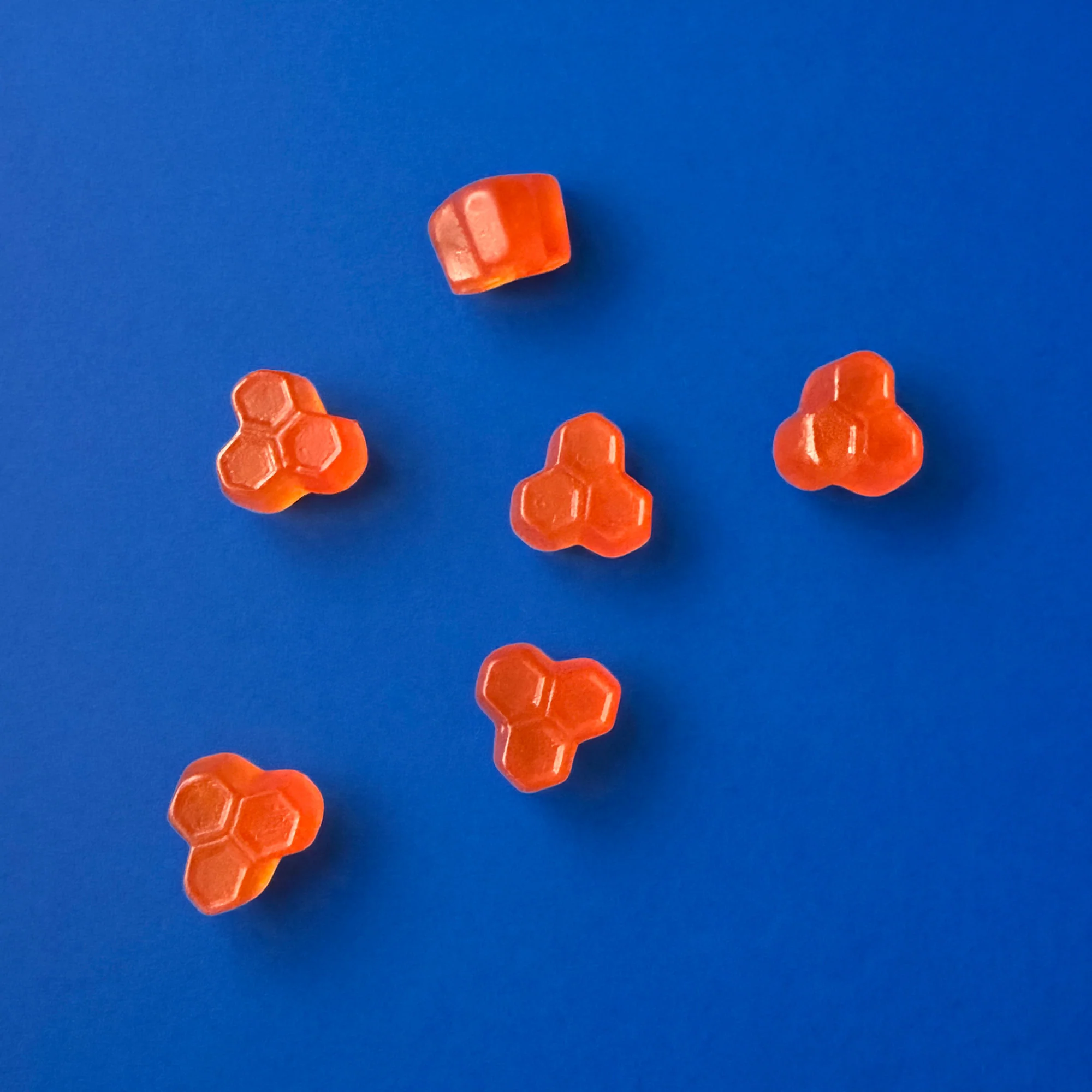 Miniatuur 11