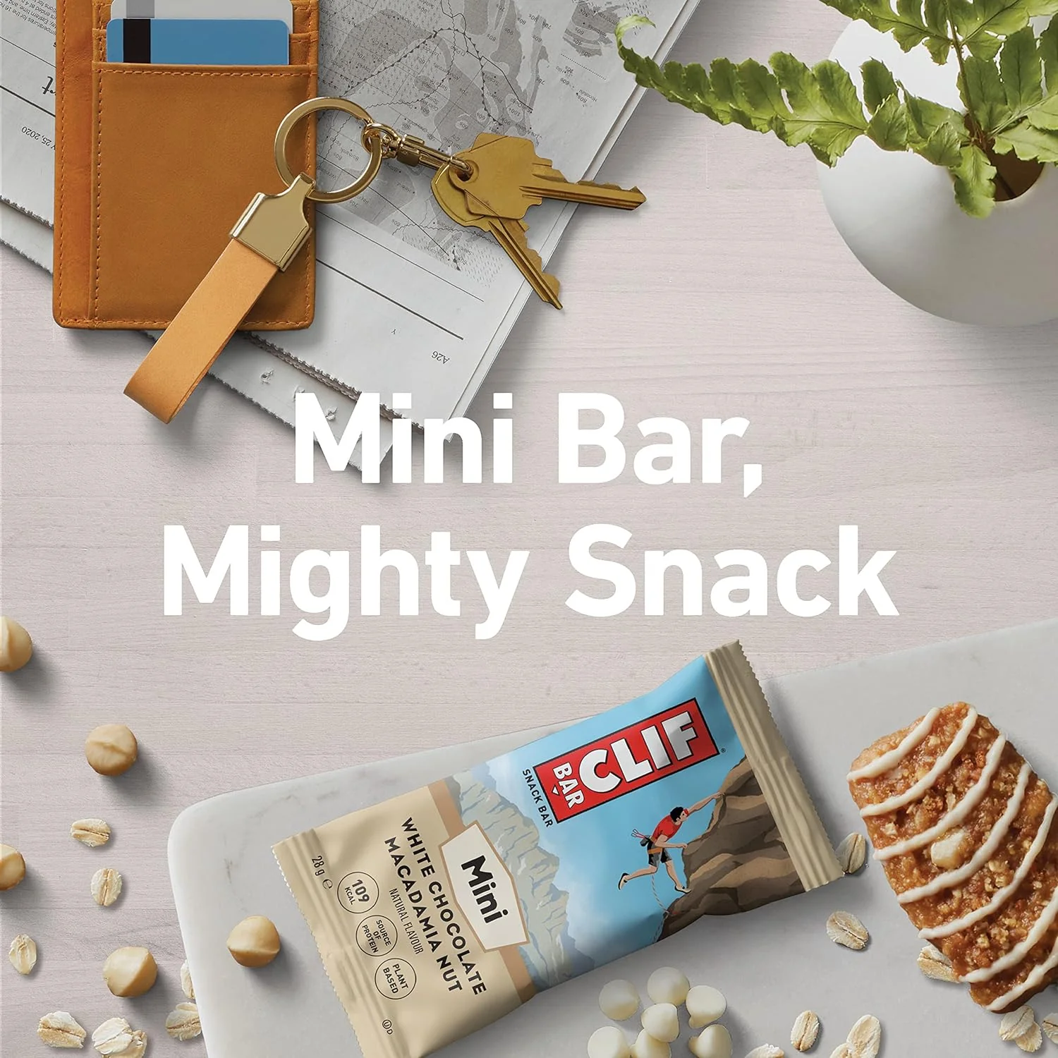 Miniatuur 20